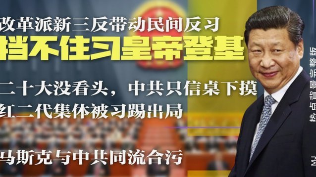 皇马官方：阿拉巴赛季结束后离队，末轮主场举办致敬仪式