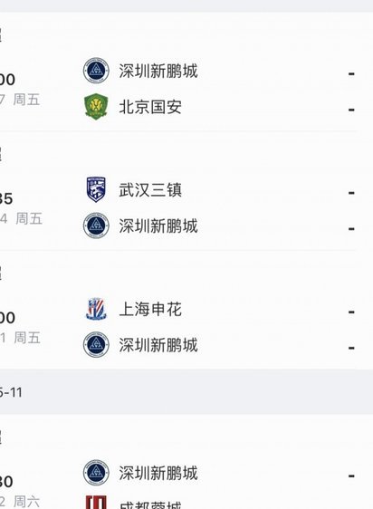 新鹏城总监越级干预遭集团高层介入调查