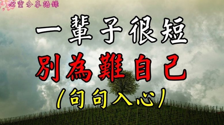 主持人：皮克福德扑不出恩佐远射，他应退出英格兰让位后辈