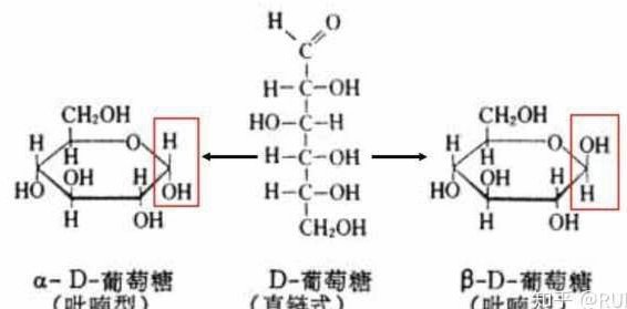 黑孩子：中国青训的反思
